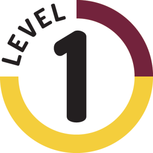 CHRG_Level_1