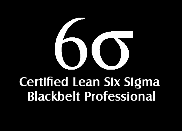 Certified Lean Six Sigma Black Belt Professional
