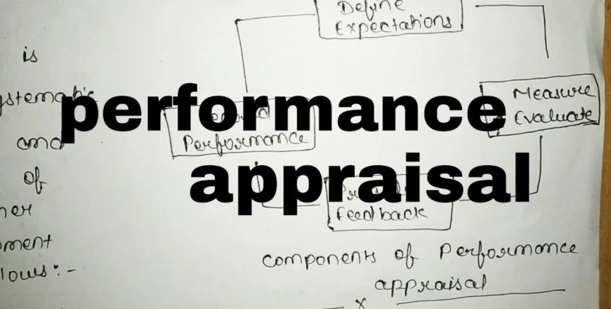 performance-appraisal.webp